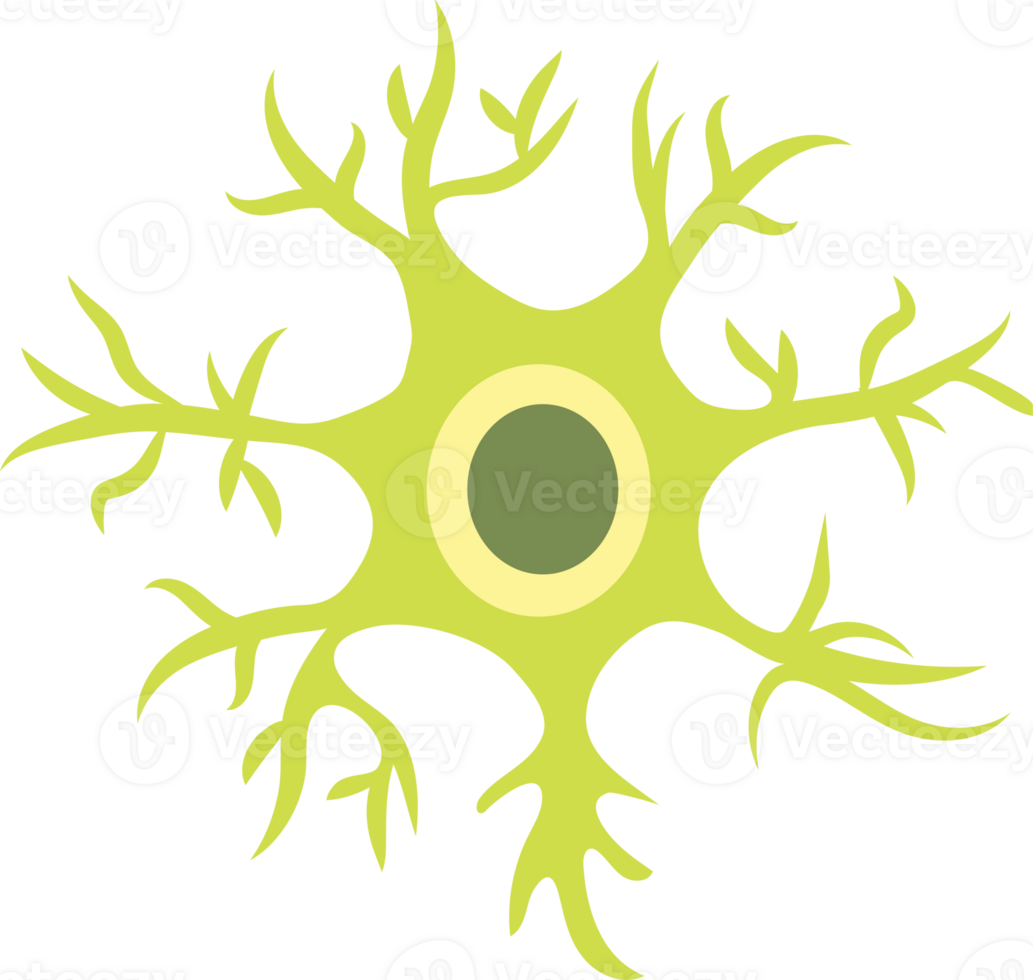 nerve cell, dendritic cell illustration png