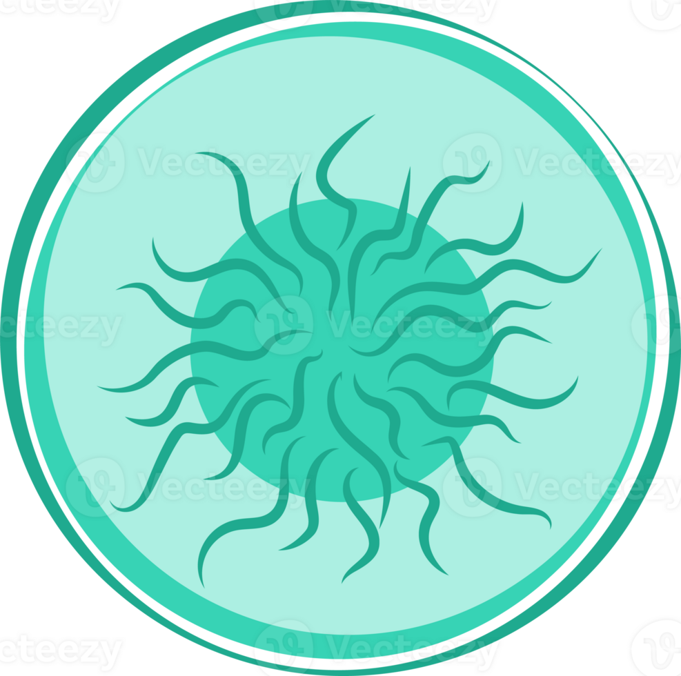 virus cell illustration png
