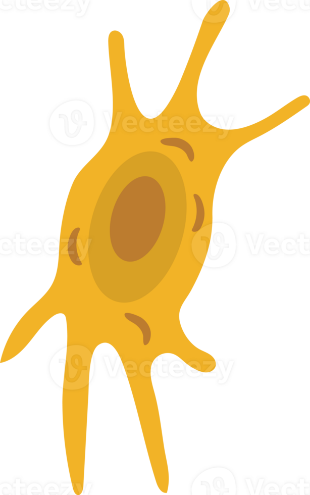 cells, microbe icon png