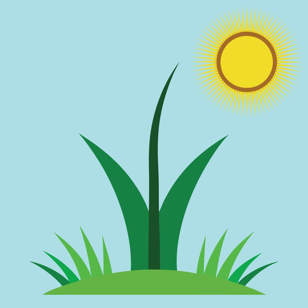 Small Plant with green Grass vector