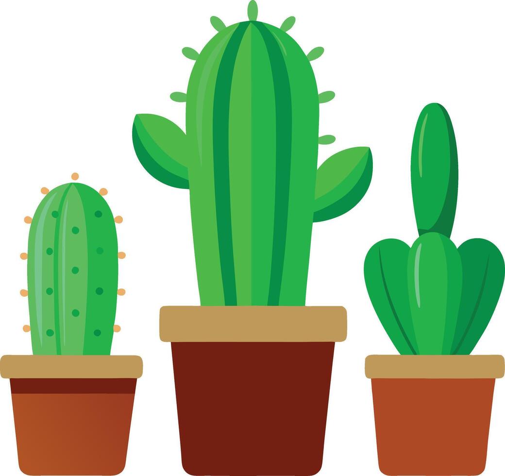 Cactus plants in pots vector