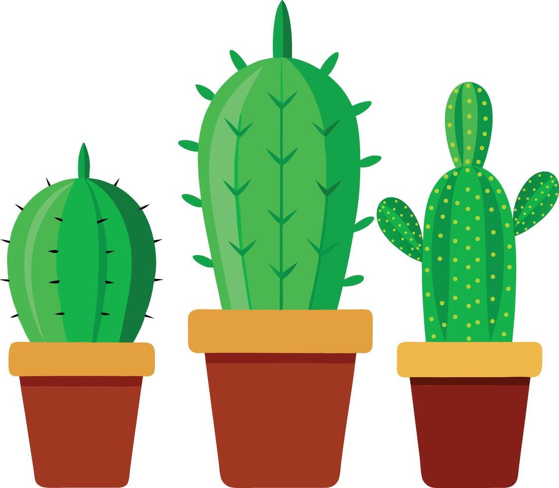 Three varieties of mini cactus in pots vector