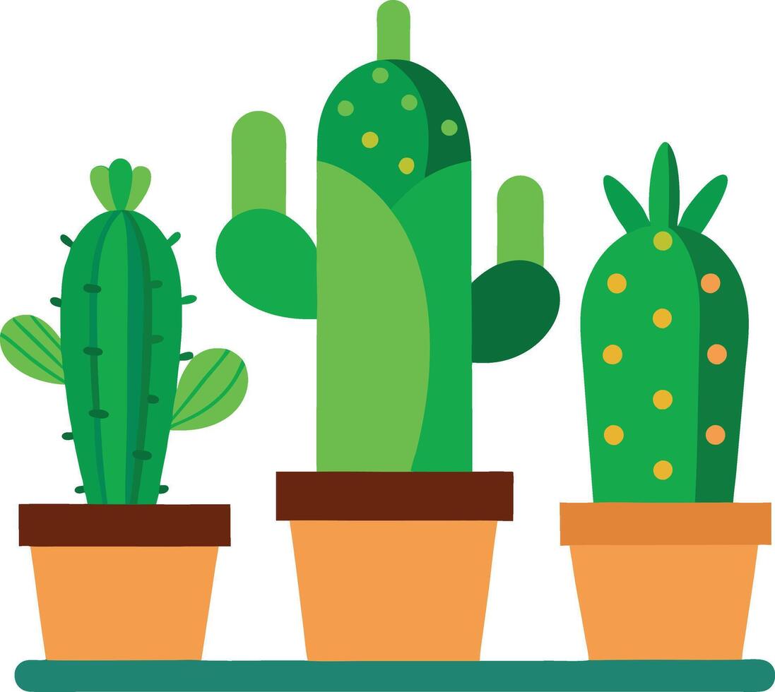 three Green Cactus in Pot vector