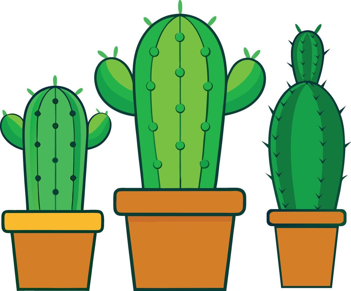 A digital illustration of three potted cactus plants vector