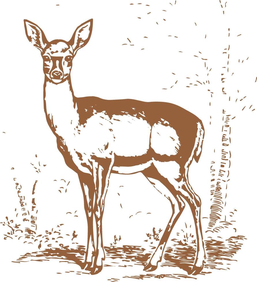 The deer standing in a forest illustration art vector