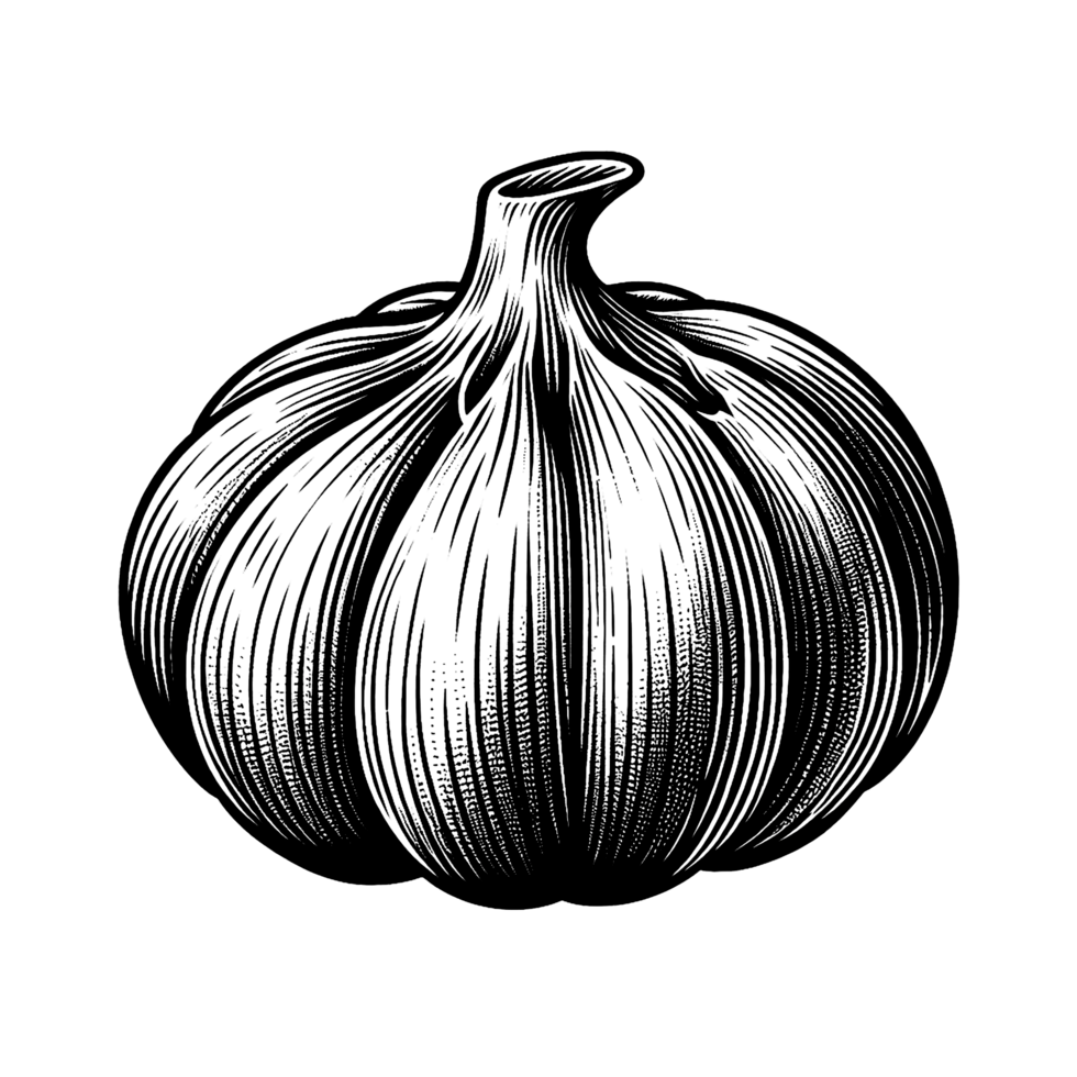 garlic black and white line art png