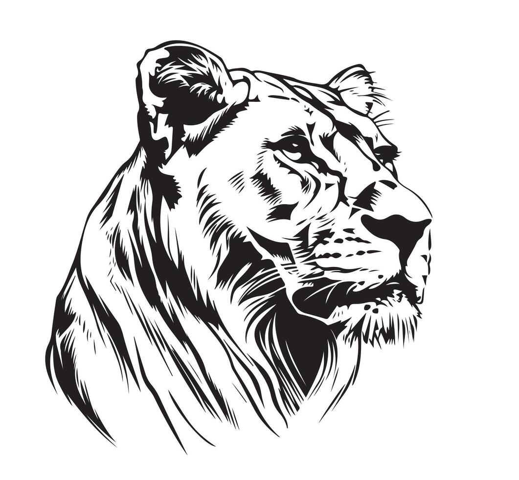 Lion head illustration vector