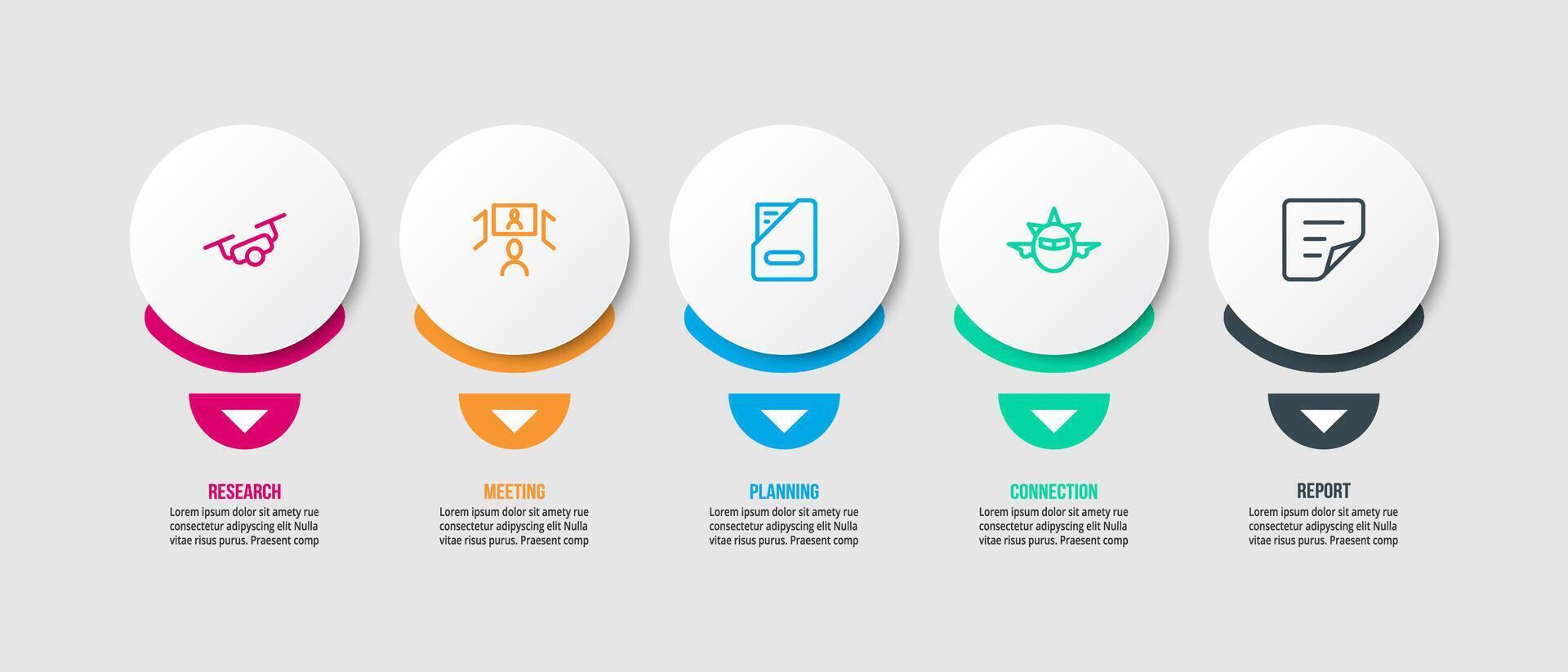 Circle presentation for business infographic. vector