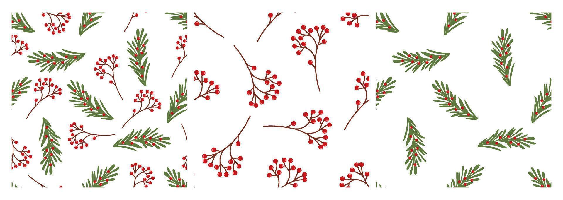 Seamless patterns with Christmas greenery and berries vector