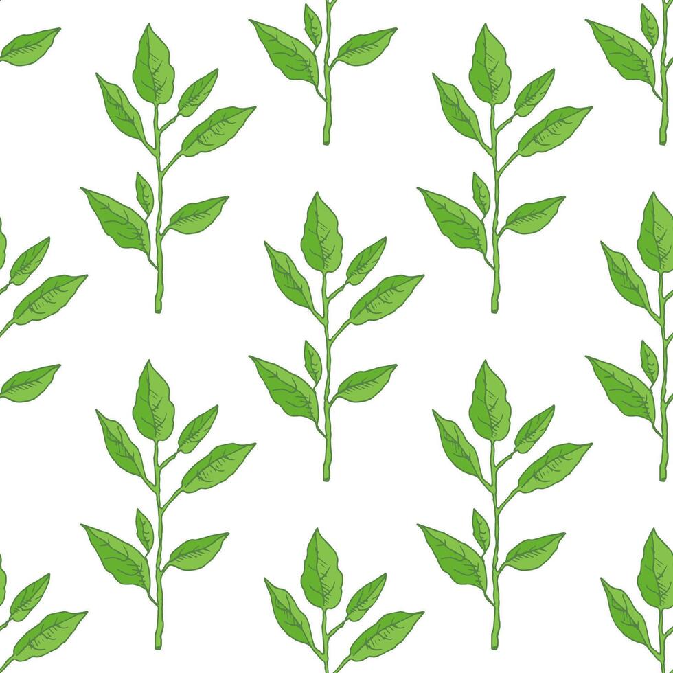 Seamless Lemon Leaves Illustration. Perfect for Menus and Designs vector
