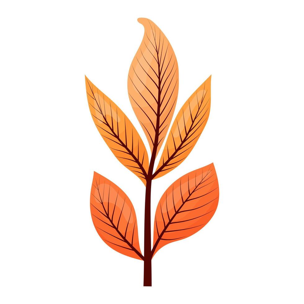 autumn colored bright leaf highlighted vector
