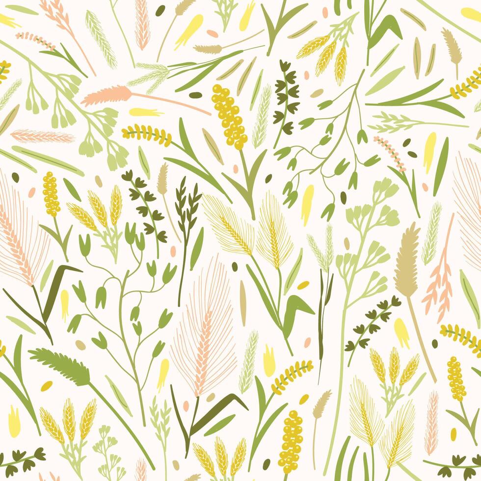 Natural seamless pattern with gorgeous blooming flowers and ears or spikes of cereal plants on white background. Backdrop with wild flowering plants. illustration for fabric print, wallpaper vector
