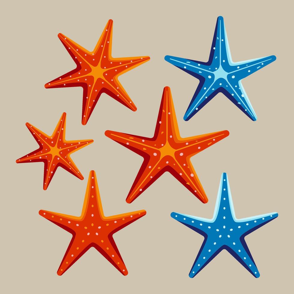A set of six starfish with different colors and sizes vector