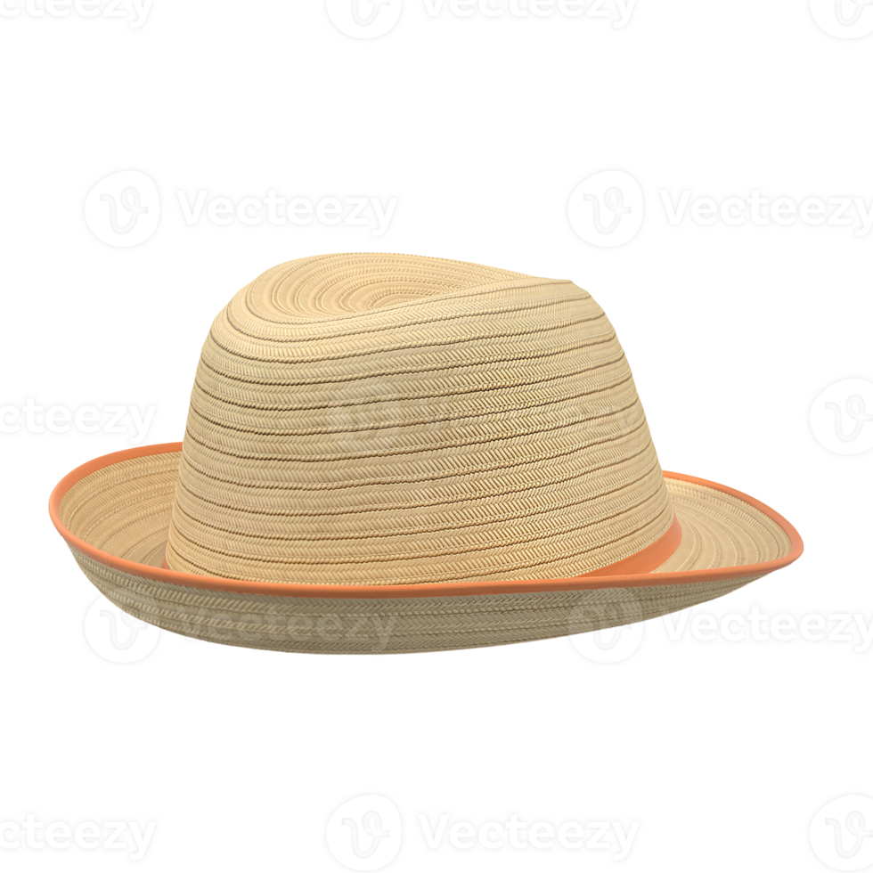 A stylish straw hat with a wide brim and a contrasting band, perfect for sun protection and outdoor activities. png