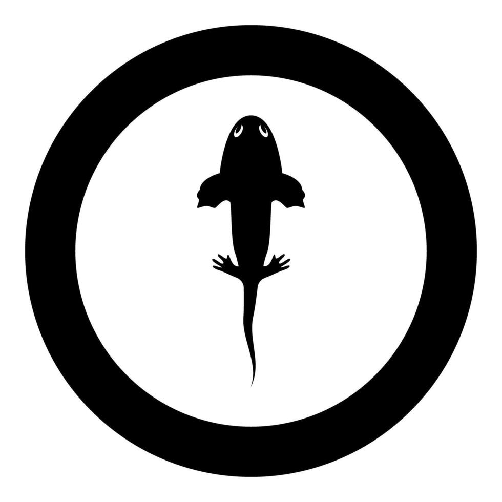 Axolotl ambystoma mexicanum overhead view icon in circle round black color illustration image solid outline style vector