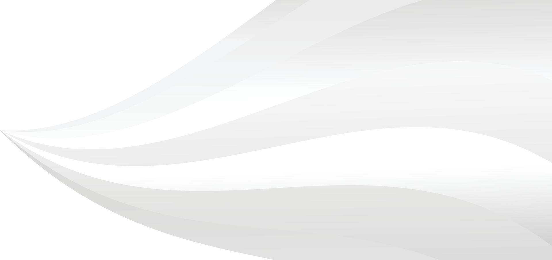 abstract white background with gradient color and Abstract white and gray background. vector