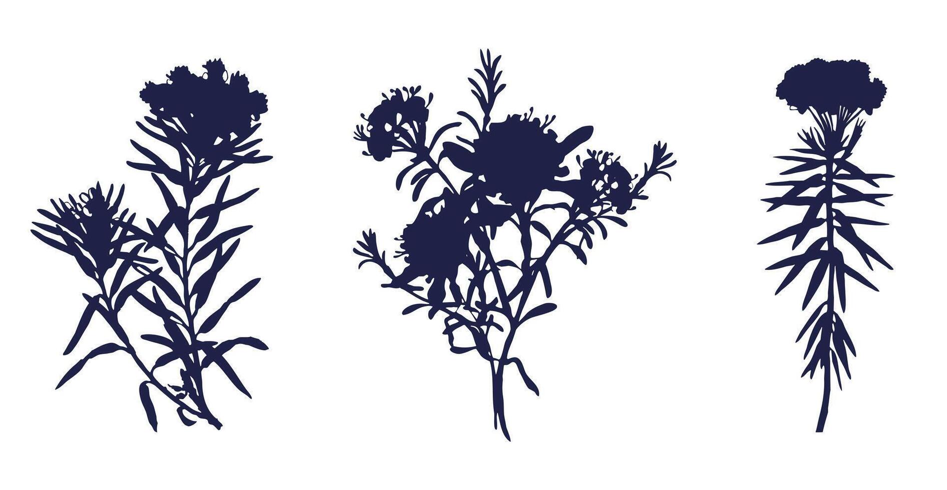Silhouettes of Field Flowers Bagulnyk. Black contours of flowers conveying the beauty of nature in simplicity vector