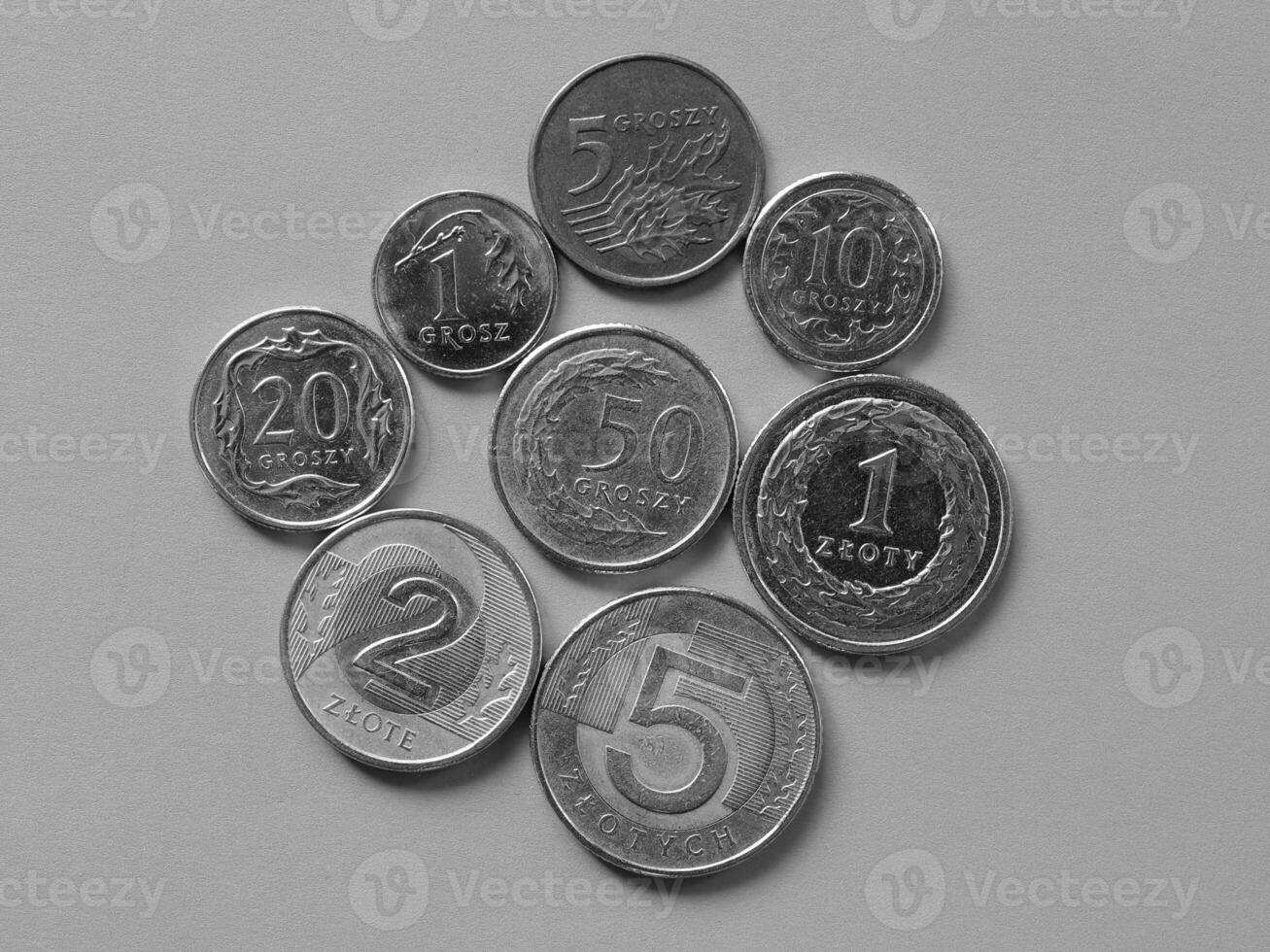 Polish Zloty coins, Poland in black and white photo