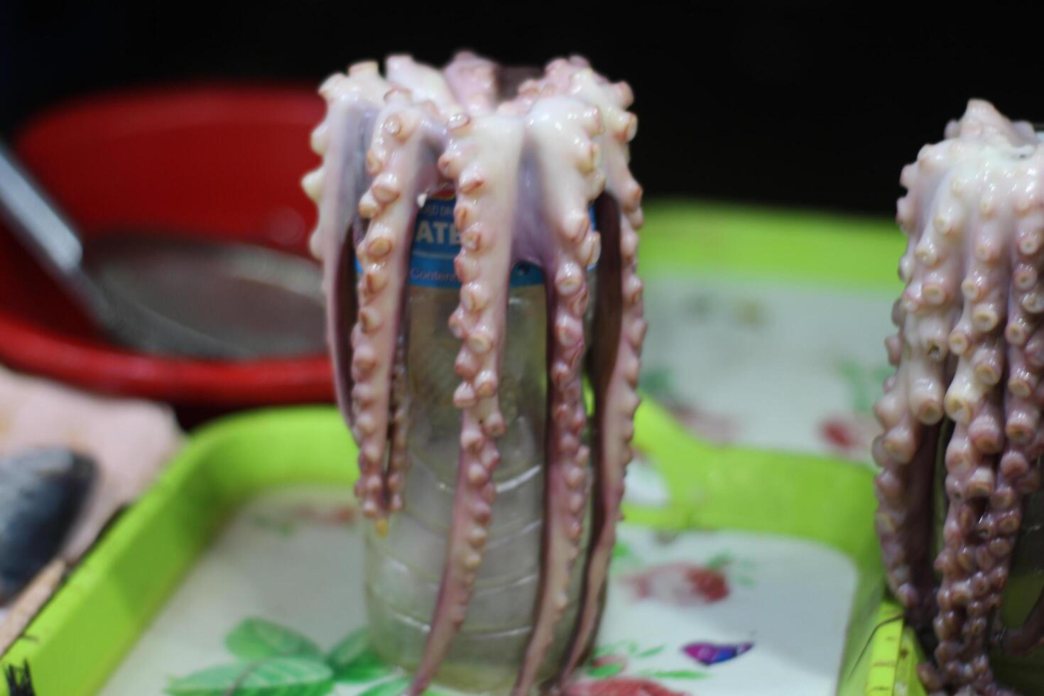 Octopus from the estuaries of Galicia. Catched oktopus. A lot of fresh octopus on table. Sea food market scene. Fresh octopus food. photo