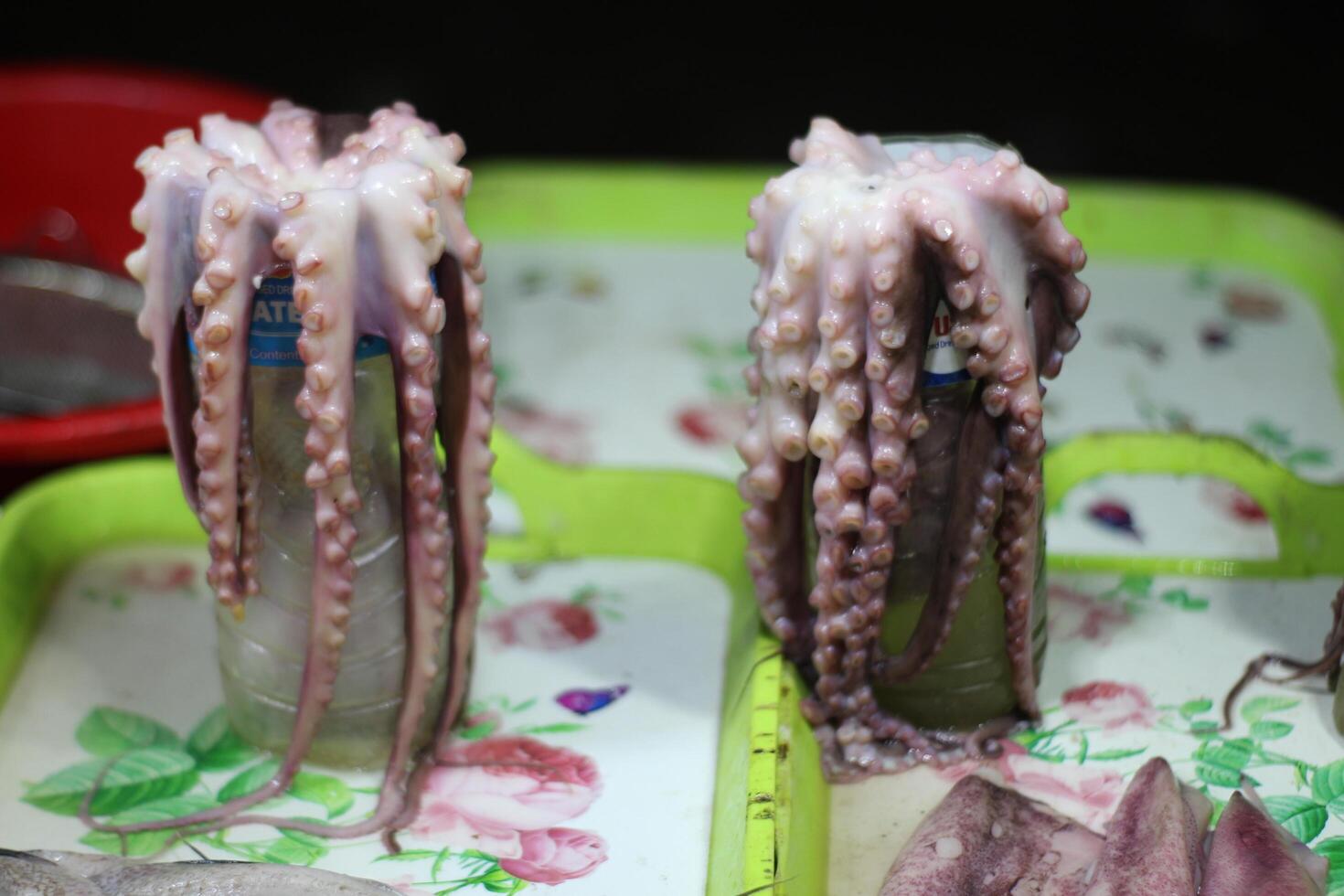 Octopus from the estuaries of Galicia. Catched oktopus. A lot of fresh octopus on table. Sea food market scene. Fresh octopus food. photo
