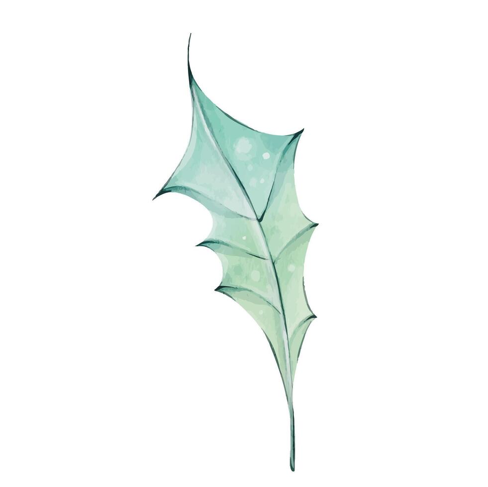 Watercolor holly green leaf, isolated. New year design element, christmas botanic. clip art vector