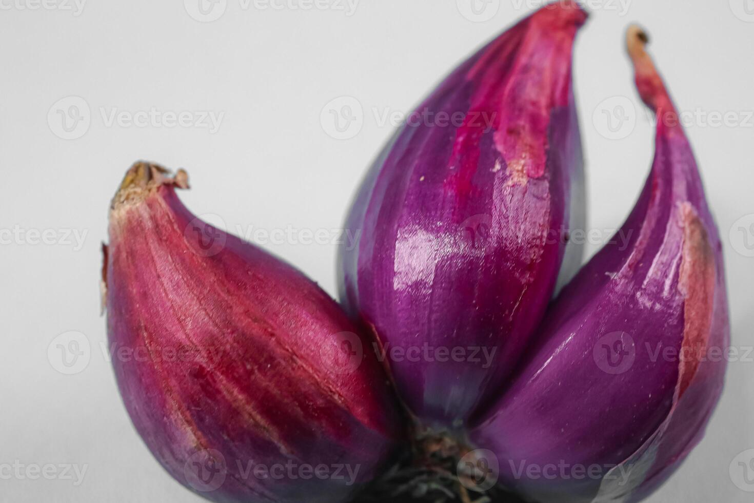 close up red onion, shallots on white background photo