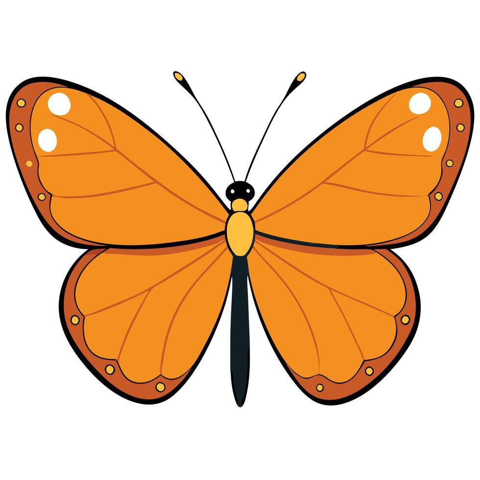 An orange butterfly with black wings and black spots vector
