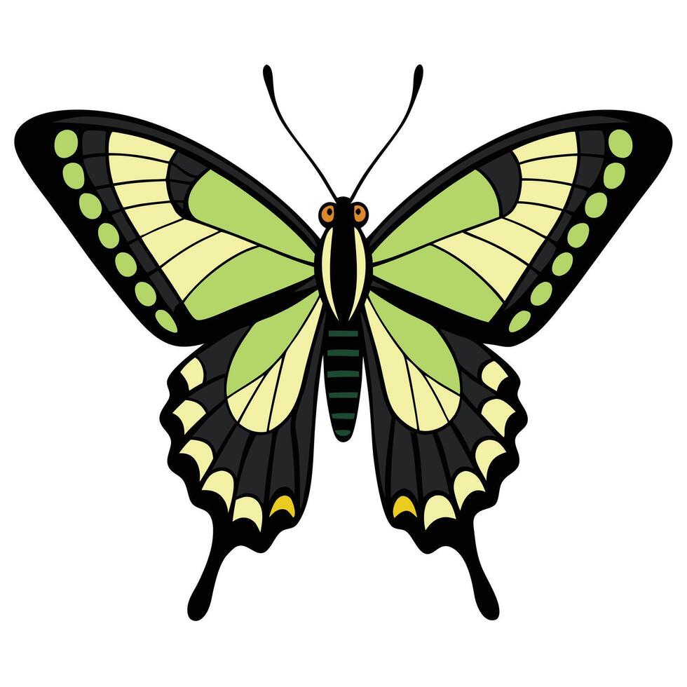 A butterfly with black and green wings vector