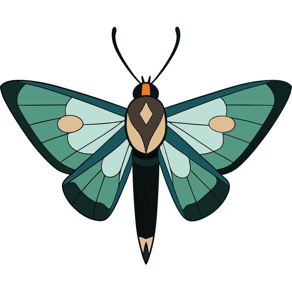 A green and black moth with a white background vector