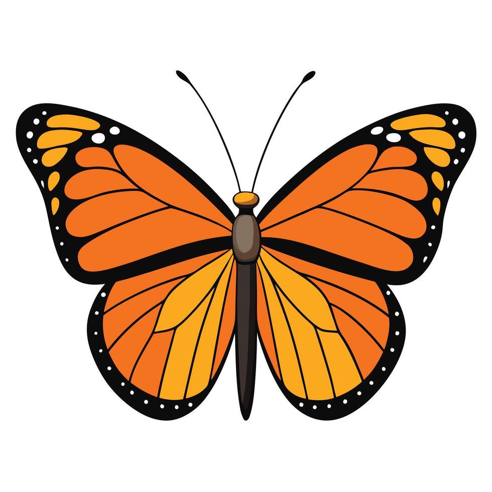 An orange butterfly with black wings is shown vector