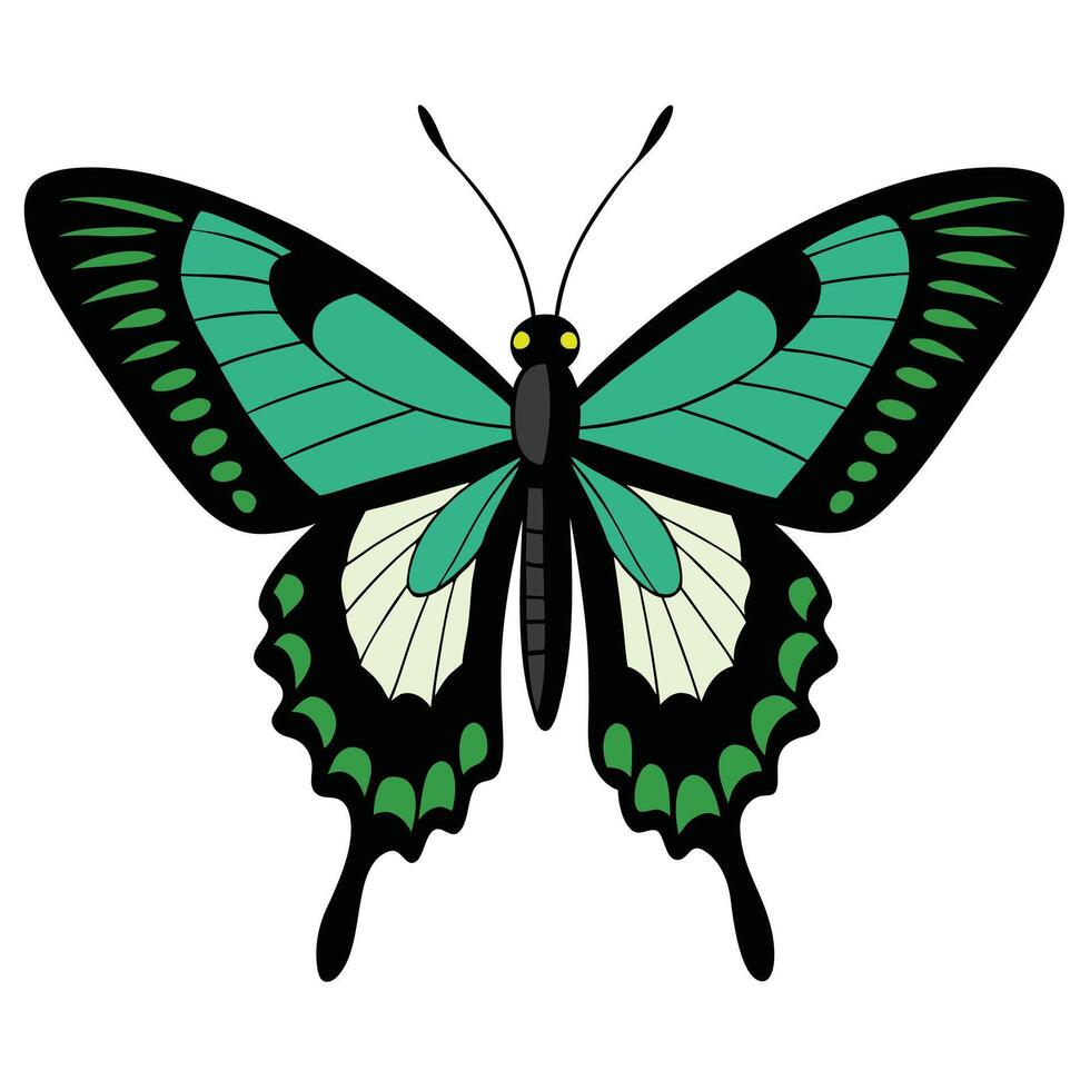 A green butterfly with black wings and black spots vector