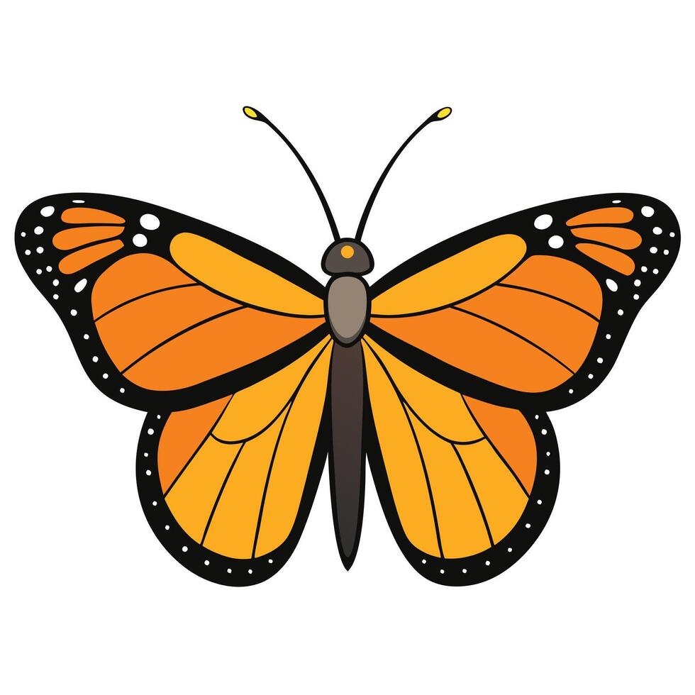 A monarch butterfly is shown on a white background vector