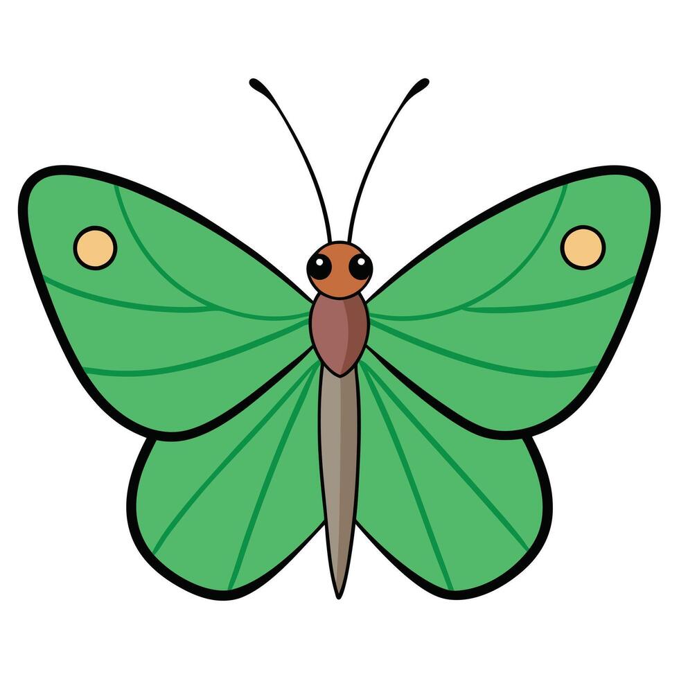 A green butterfly with brown wings and black spots vector