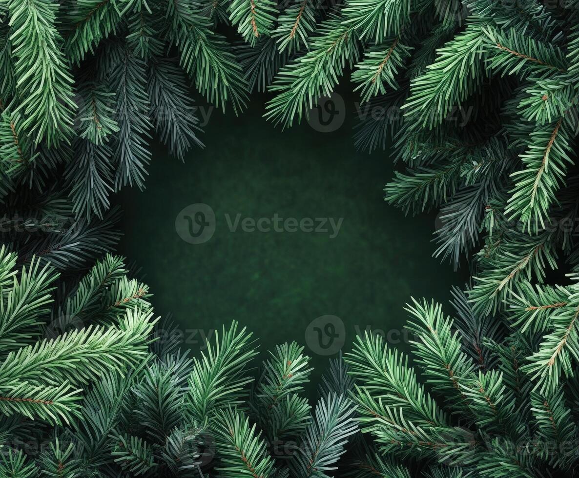 Lush fir tree branches creating a natural frame in a forest setting photo