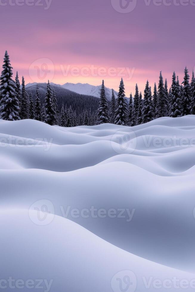 Snow-covered landscape at twilight with pine trees in the distance photo