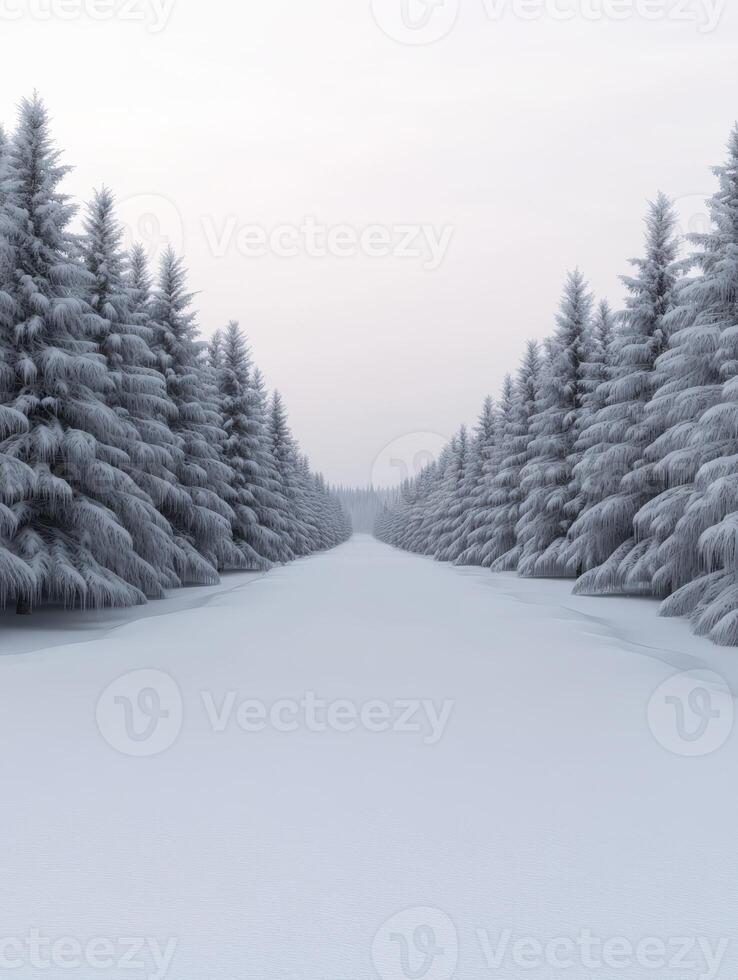 Snow-covered forest path in tranquil winter scenery photo