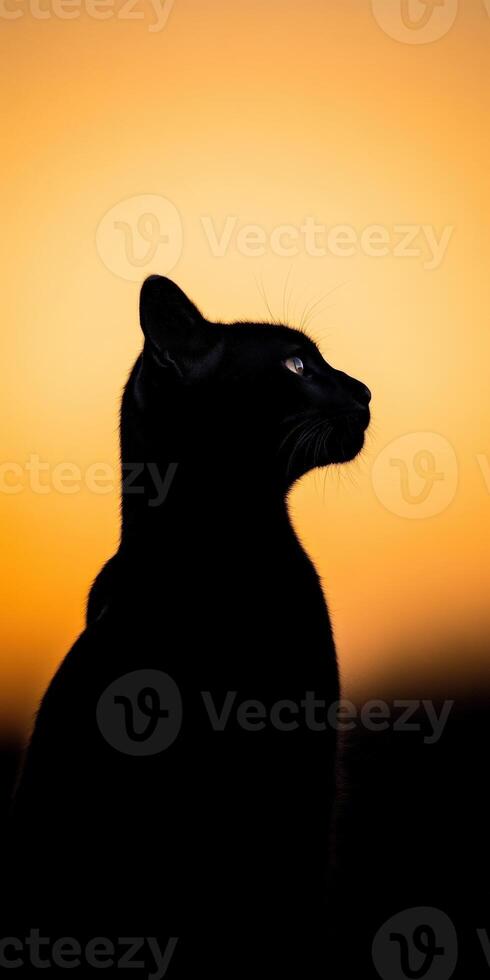 Black cat silhouette against an orange sunset background photo