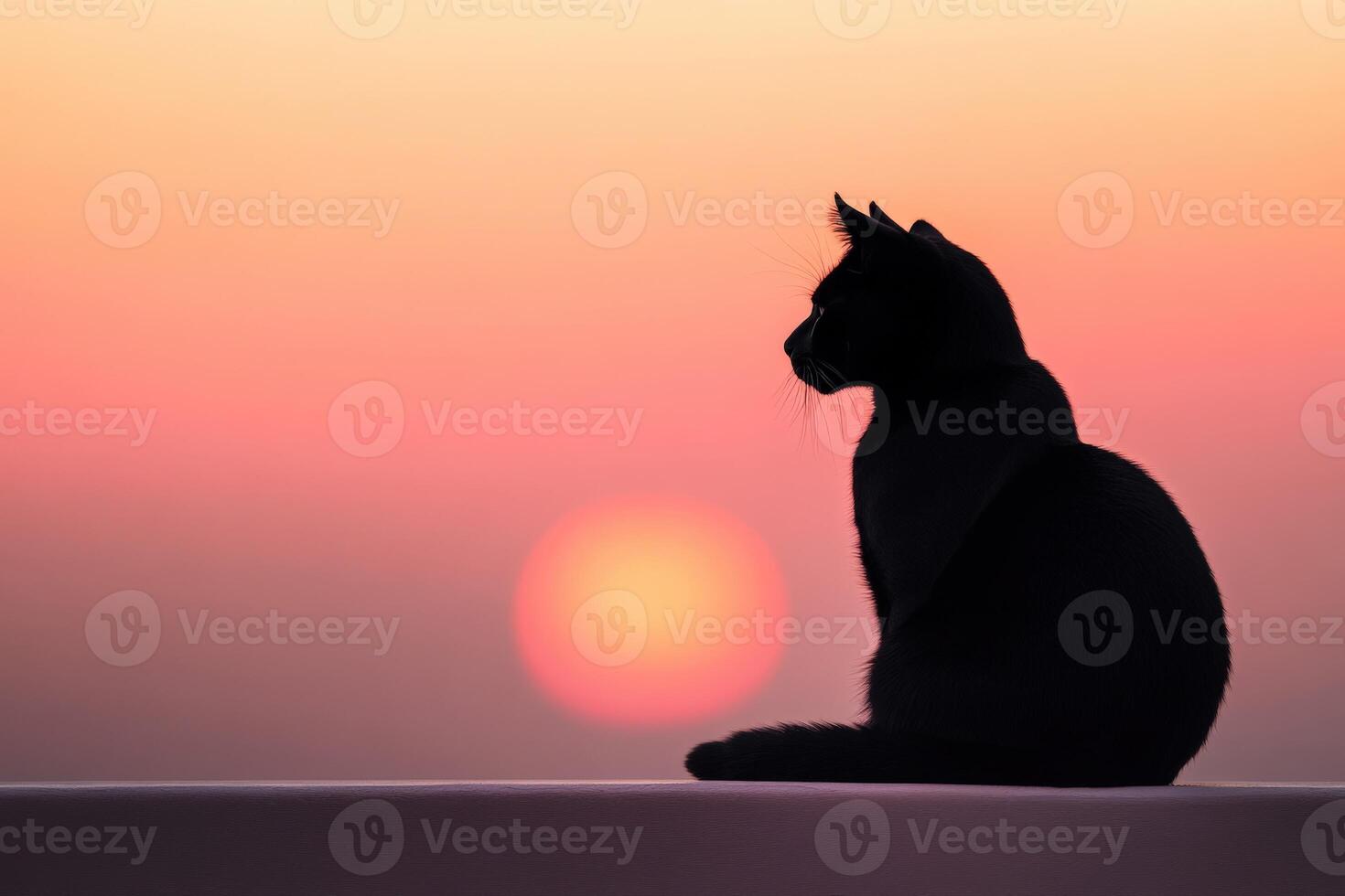 Black cat silhouette at sunset overlooking a tranquil landscape photo
