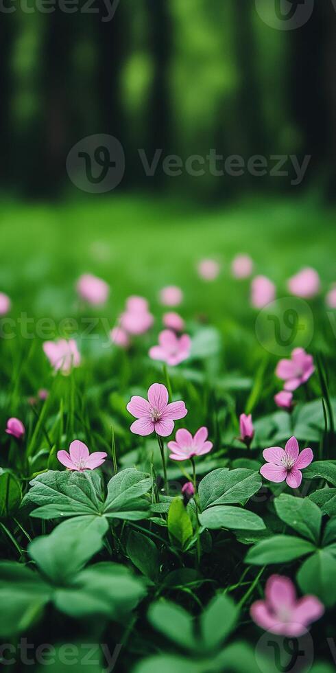 Pink flowers blooming in a lush green meadow during springtime photo