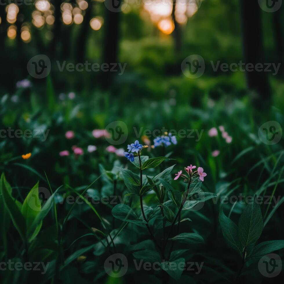 Colorful wildflowers bloom in a serene forest at sunset photo