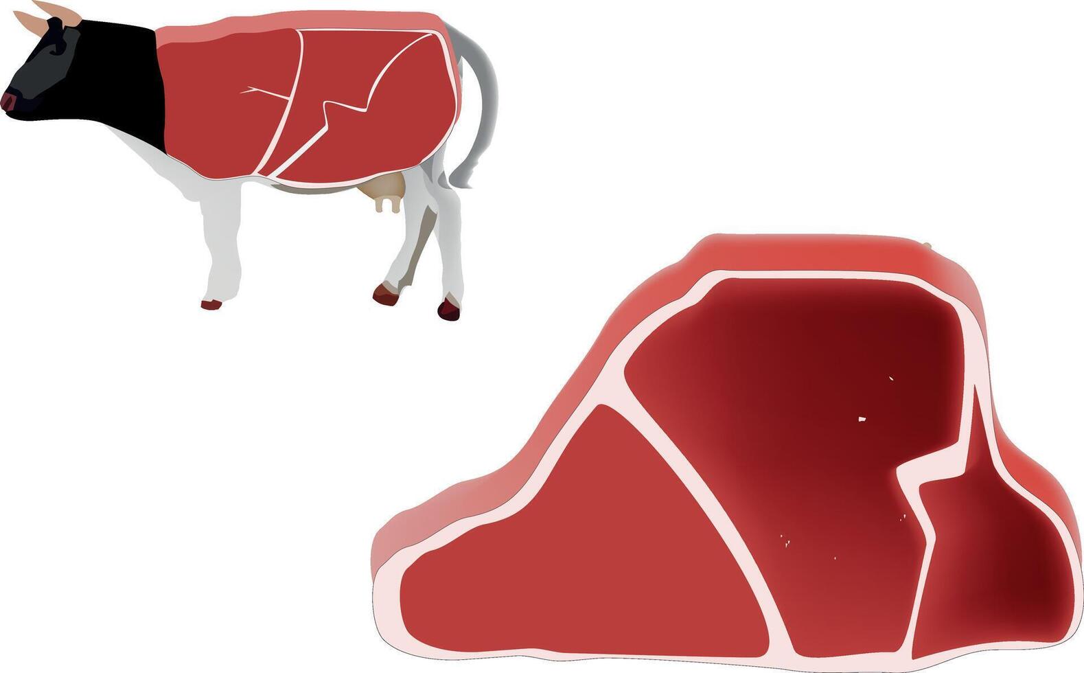 Steak and cow meat cut into pieces vector