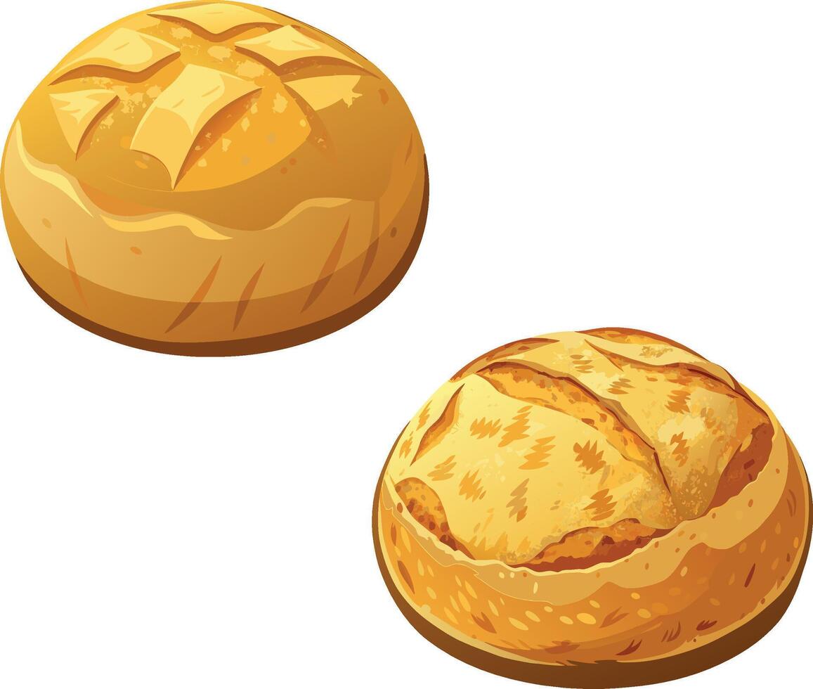 Two round loaves of bread baking, freshly baked food vector