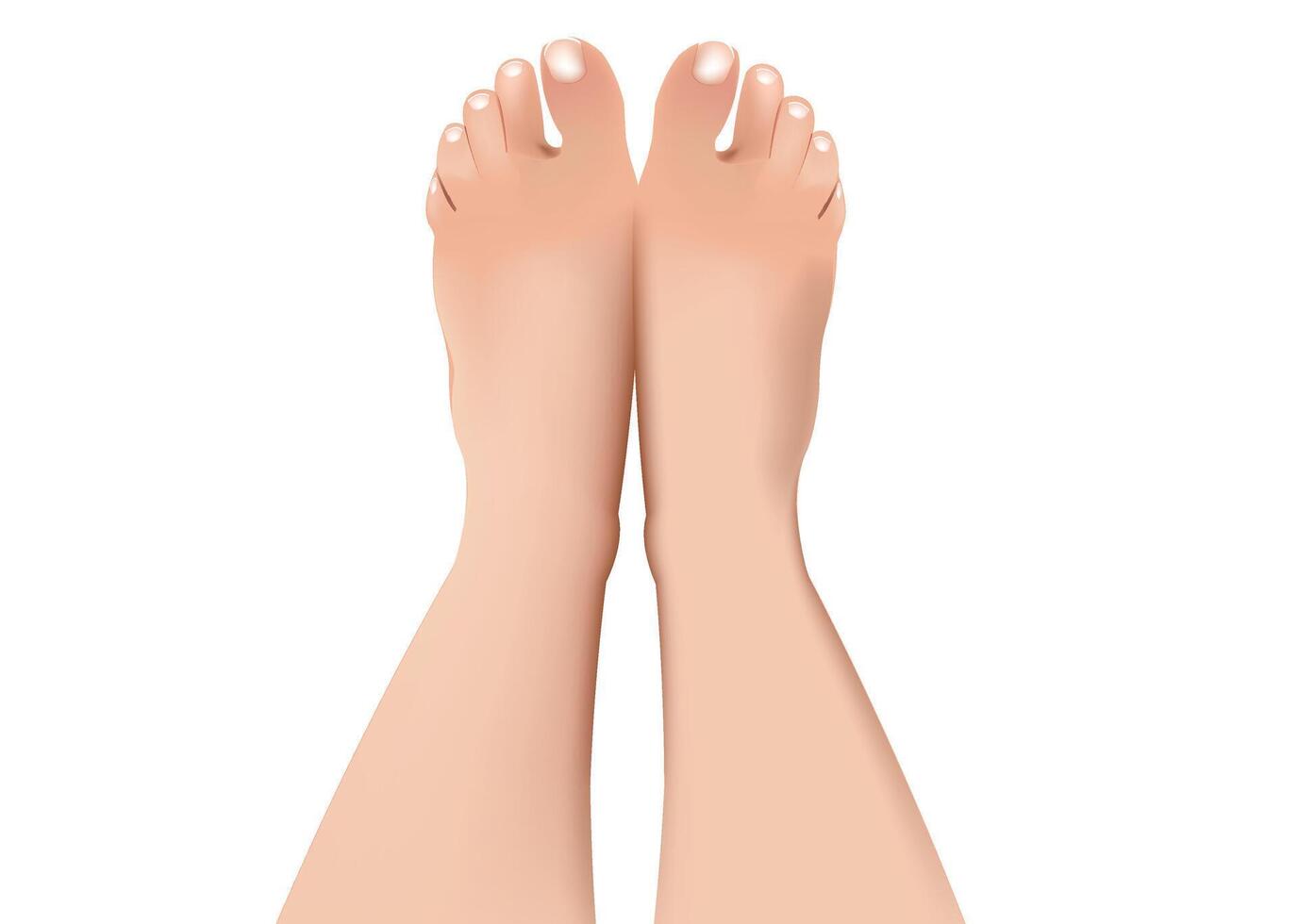 A person's feet with their toes up on a white background vector