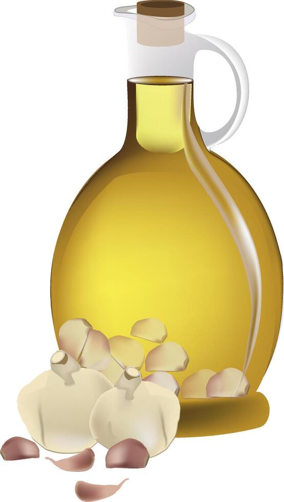 Garlic oil and garlic cloves vector