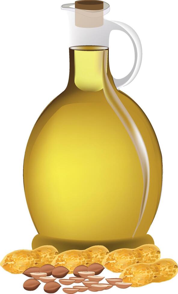 Almond oil and nuts vector