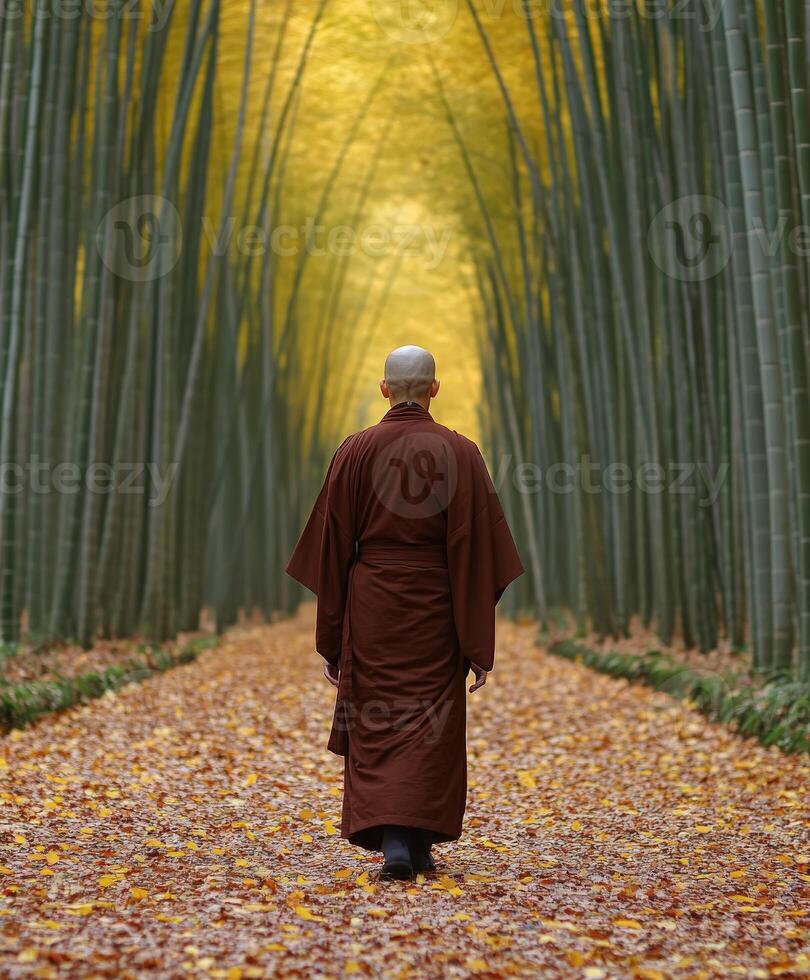 A monk walking through a serene bamboo forest during autumn photo