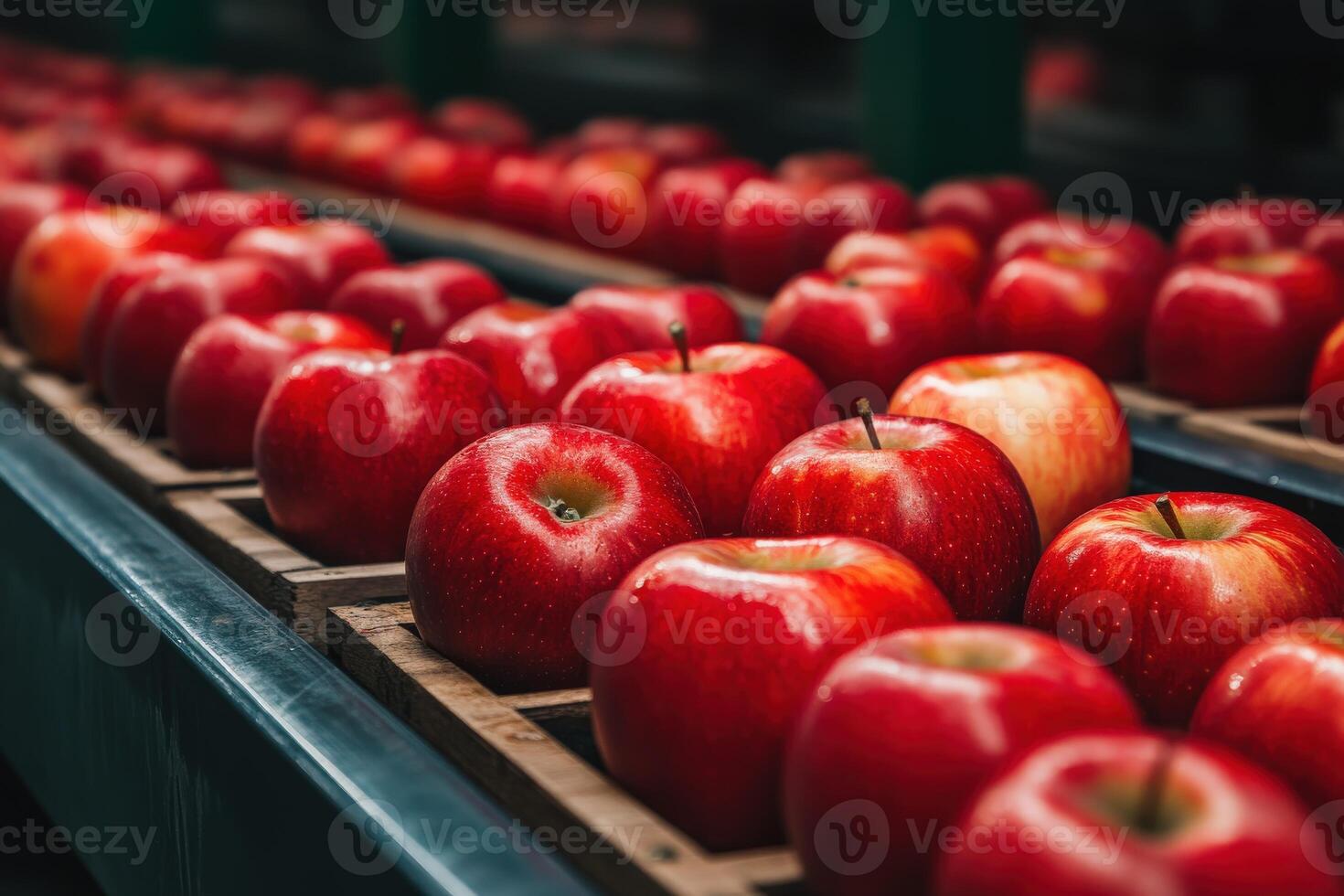 Freshly harvested red apples lined up on a wooden crate for sorting photo
