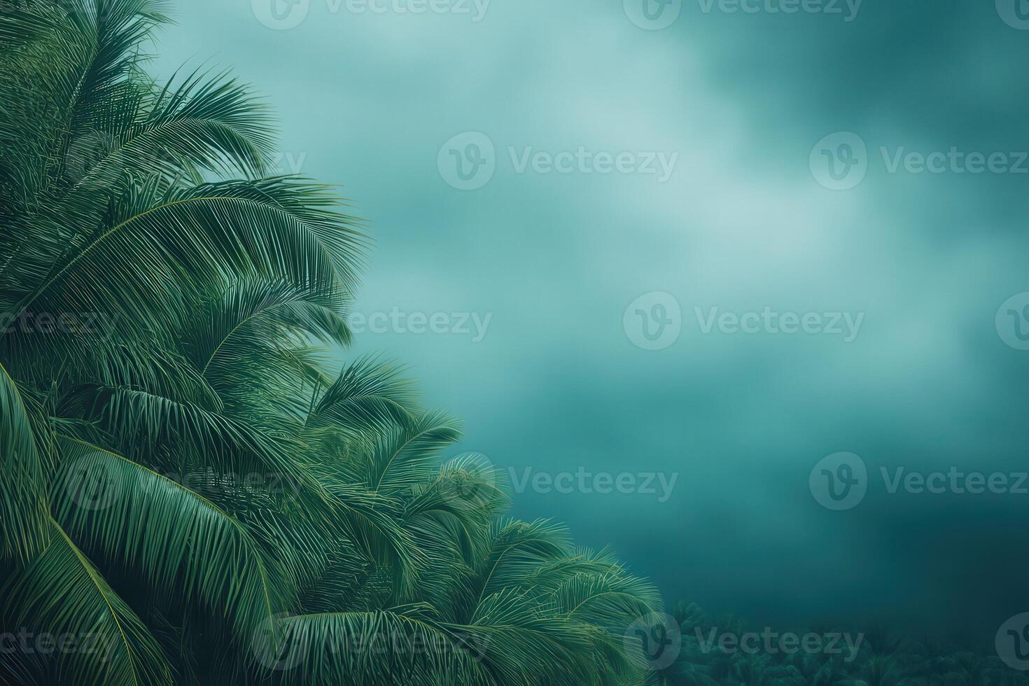Hurricane clouds loom over a tropical landscape with swaying palm trees photo