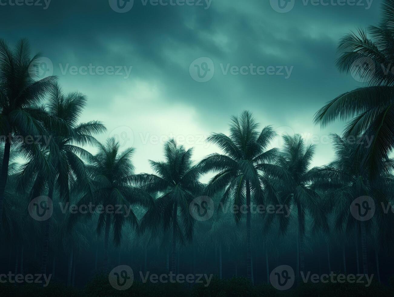 Hurricane approaches palm trees under dark, ominous sky at dusk photo