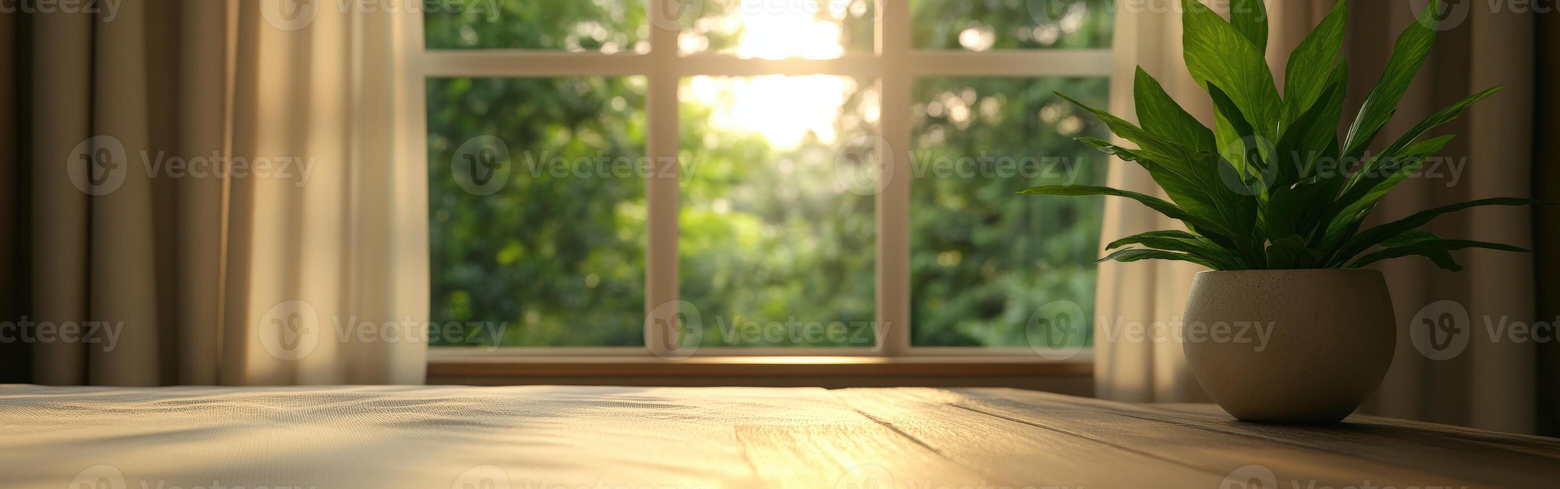 Sunlight streaming through a window illuminating a plant indoors in morning photo
